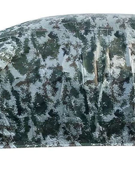 Military Forest For Skoda